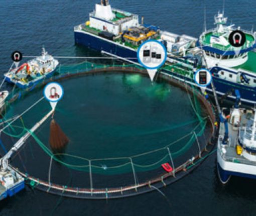 1611085121aquaculture_467x321